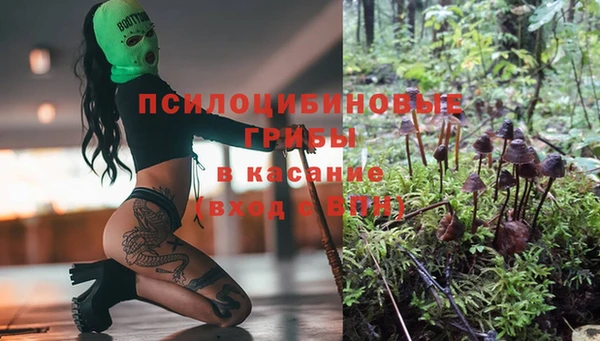 первитин Алексин