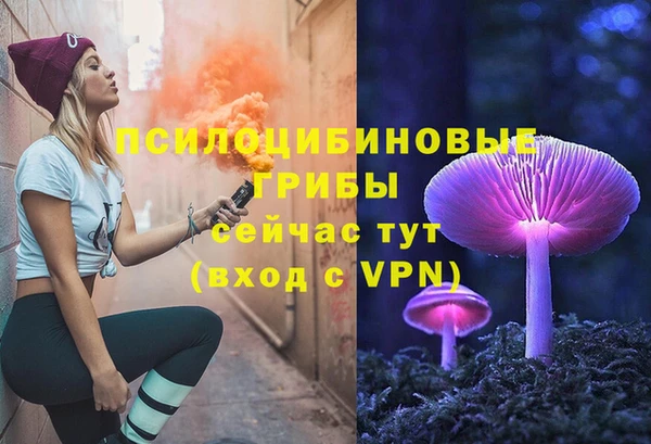 ешки Алексеевка