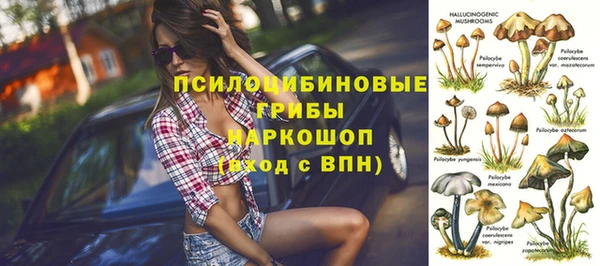 шишки Абдулино