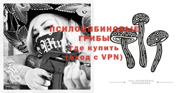 ешки Алексеевка