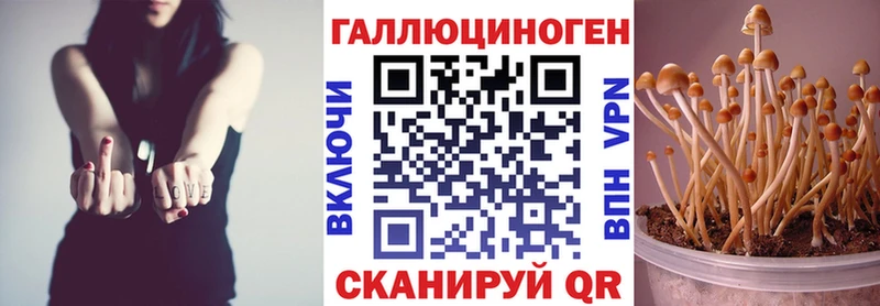 Галлюциногенные грибы Psilocybe  наркота  Котлас 