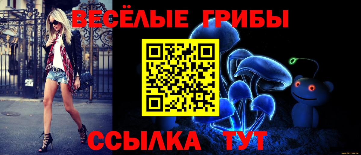 Псилоцибиновые грибы мицелий  Псилоцибиновые грибы мухоморы  Вход с VPN  Котлас 