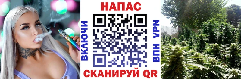 Канабис индика  где продают   Котлас 