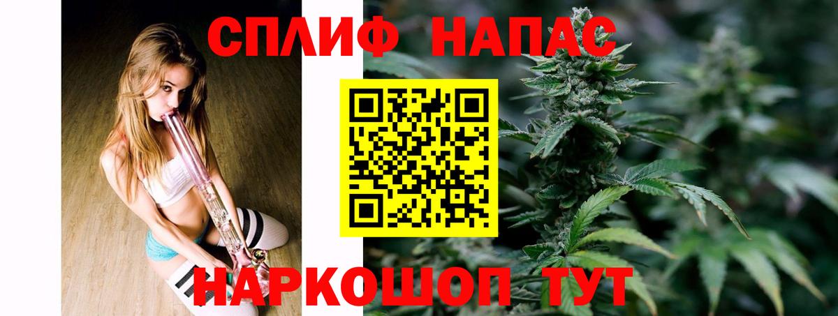 Шишки марихуана семена  Вход с VPN  Бошки марихуана THC 21%  Котлас  Конопля Amnesia 